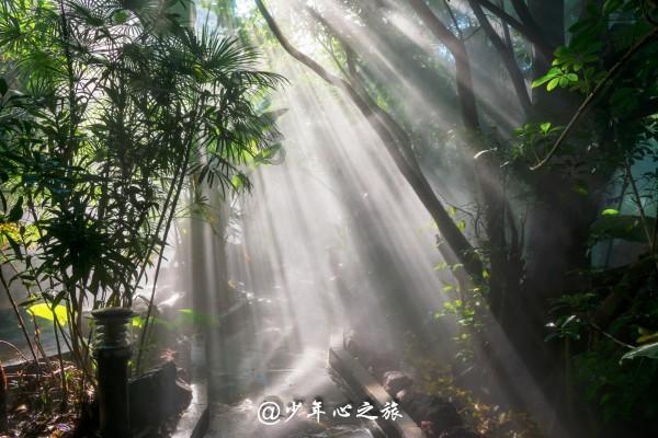 电影《花千骨》首映礼陈都灵造型图,这身鹅黄色裙子好美